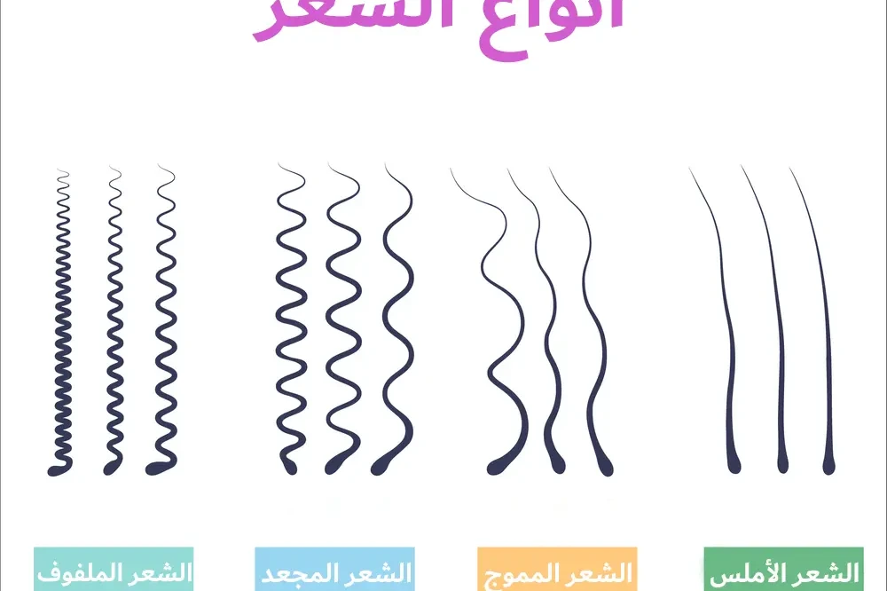 أنواع الشعر